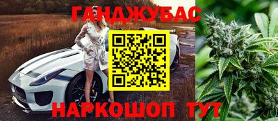 шишки Заволжье