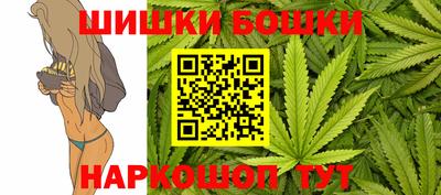 шишки Заволжье