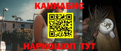 шишки Заволжье