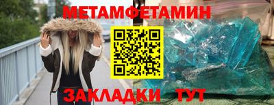 шишки Заволжье