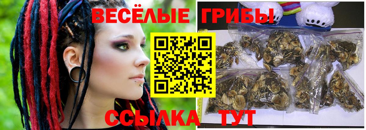 Луховицы  Псилоцибиновые грибы мицелий  Псилоцибиновые грибы MAGIC MUSHROOMS  Вход с VPN 